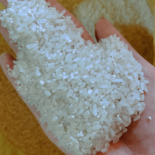 Gạo đồng bào Tây Nguyên
