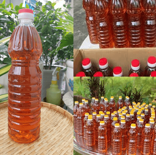 Nước mắm nhỉ Bình Định chính gốc
