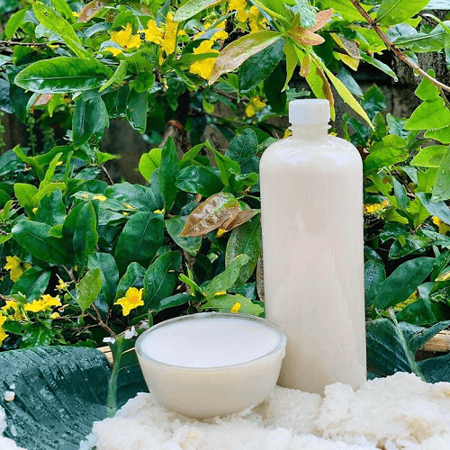Rượu nếp thường Bình Định chính gốc — 3